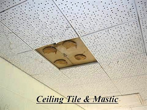 Ceiling Tile With Asbestos